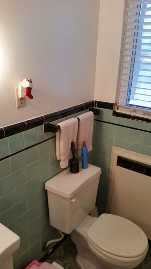 Bathroom before - Toilet
